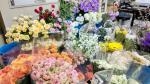 花高騰中です　年中高いです|「小柳生花店」　（熊本県荒尾市の花屋）のブログ